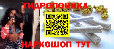 дмт Кинель