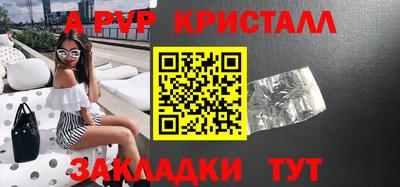 мет Кингисепп